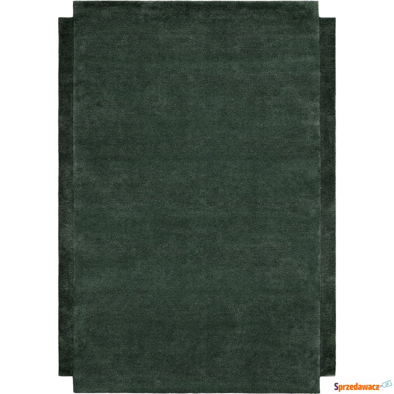 Dywan Level 250 x 350 cm zielony - Dywany, chodniki - Otwock