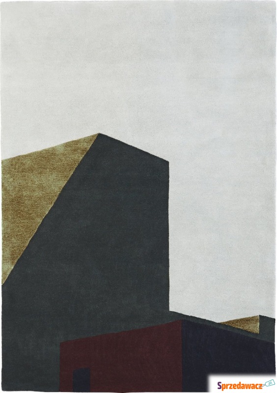 Dywan Arqui II 170 x 240 cm - Dywany, chodniki - Wrocław