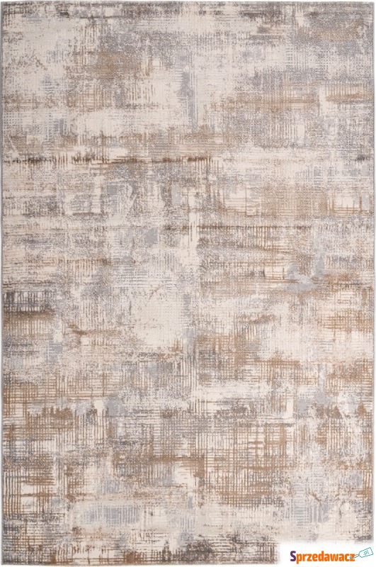 Dywan Salsa 691 200 x 290 cm taupe - Dywany, chodniki - Inowrocław