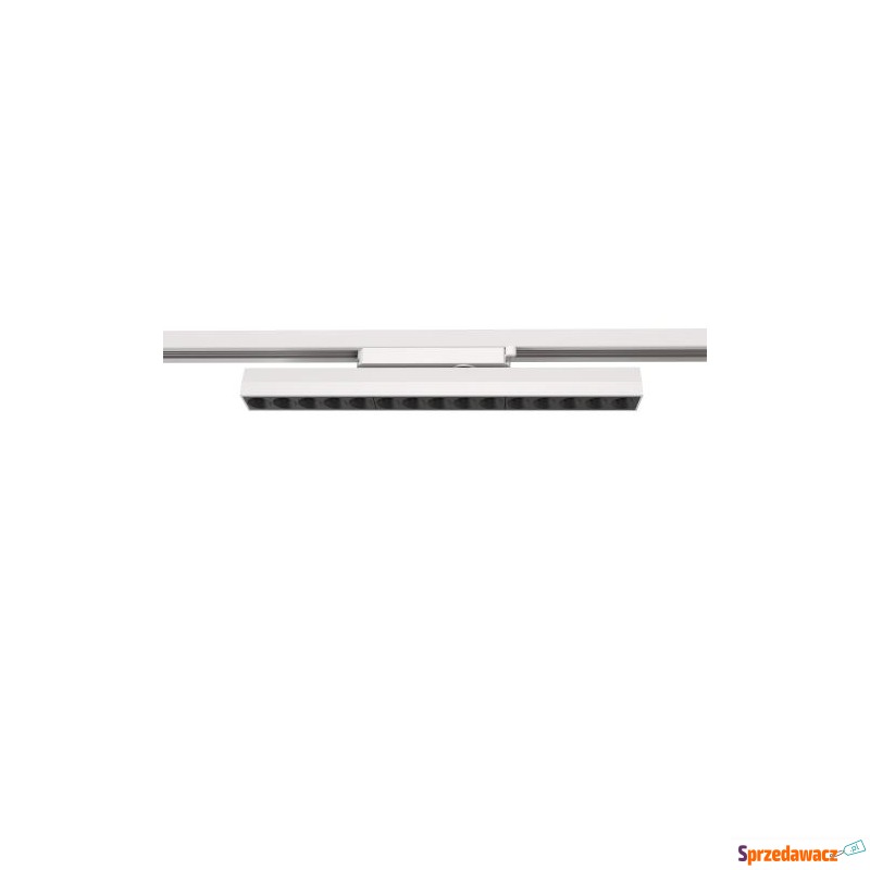 Lampa liniowa PROFILE FOCUS LINEAR...