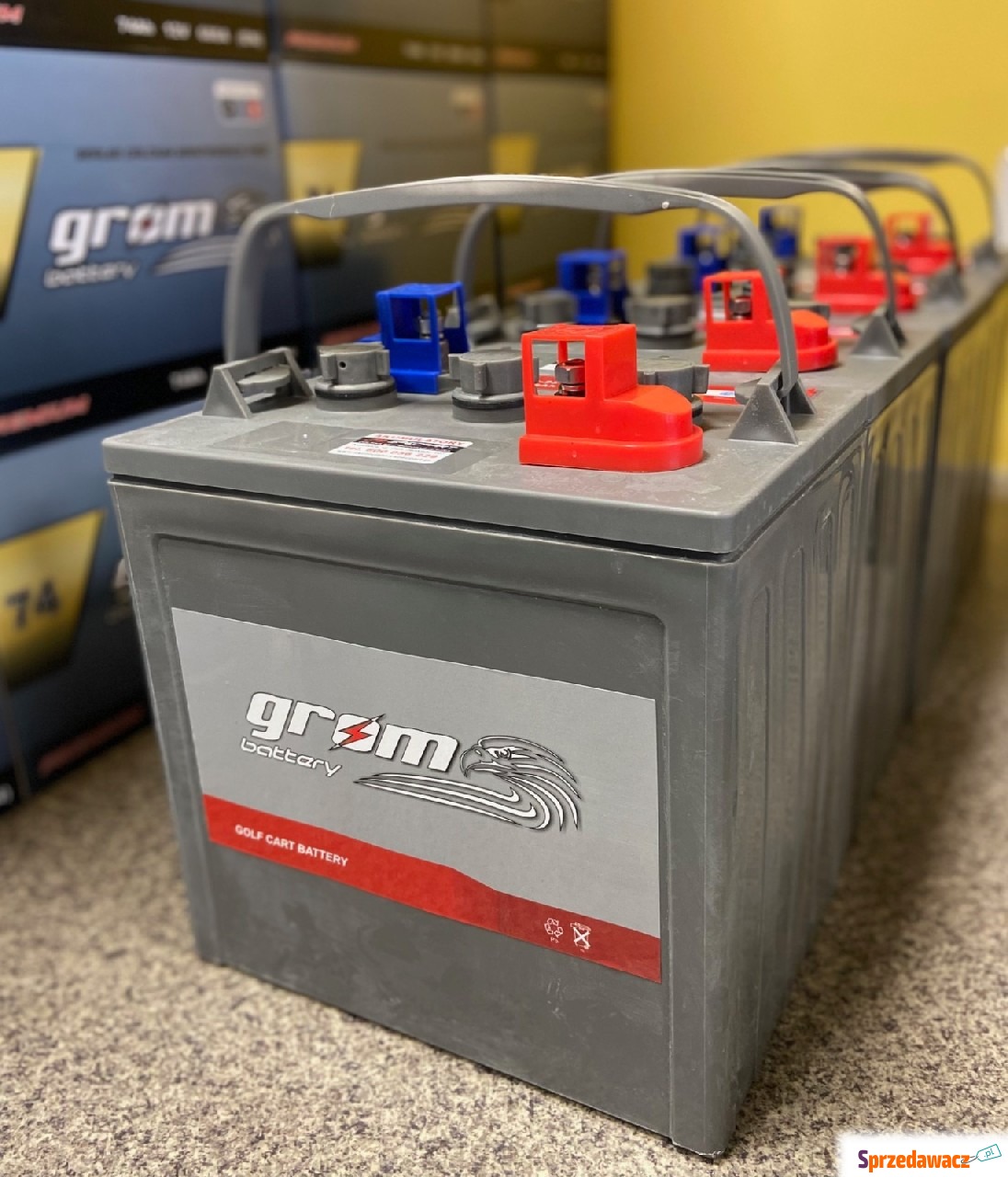 Akumulator trakcyjny GROM 6V 225Ah