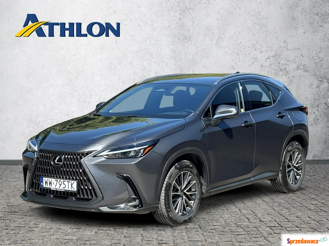 Lexus NX 2023