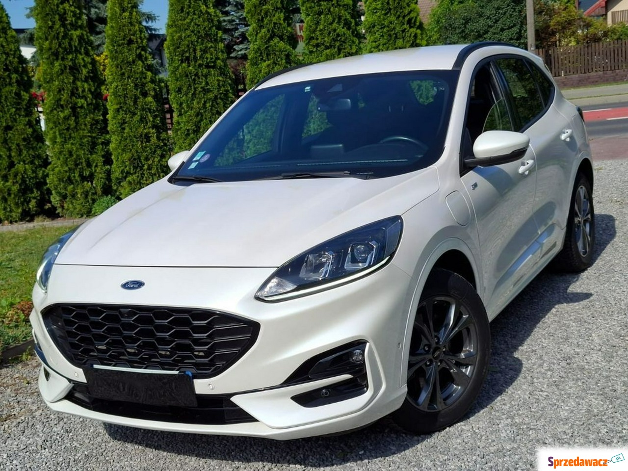 Ford Kuga 2020