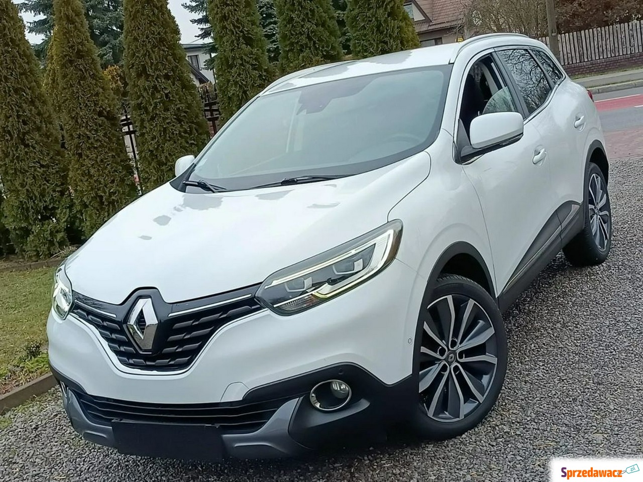 Renault Kadjar - Navi *Skóra *...