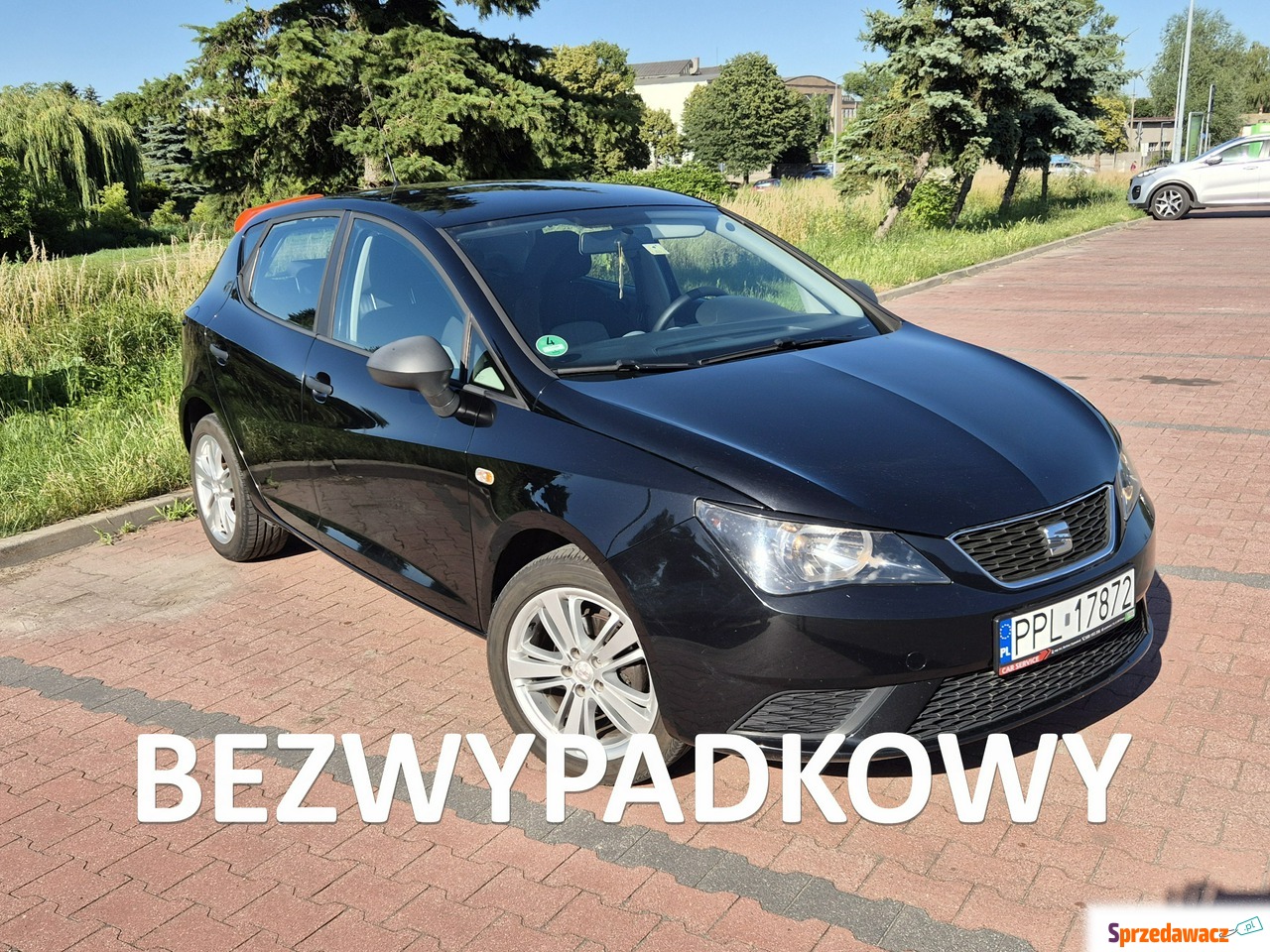 Seat Ibiza 2014