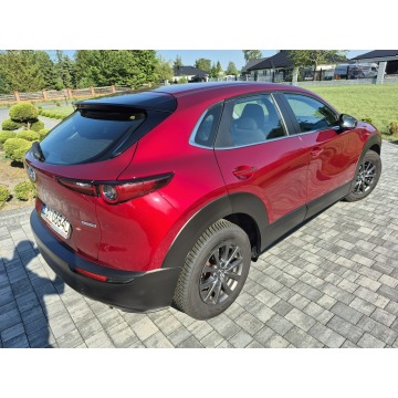 Mazda CX-30  SUV 2019,  2.0 benzyna - Na sprzedaż za 76 900 zł - Drelów - zdjęcie 2