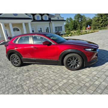 Mazda CX-30  SUV 2019,  2.0 benzyna - Na sprzedaż za 76 900 zł - Drelów - zdjęcie 8