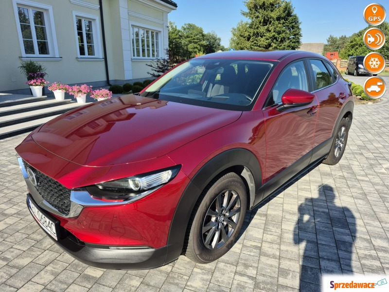 Mazda CX-30  SUV 2019,  2.0 benzyna - Na sprzedaż za 76 900 zł - Drelów
