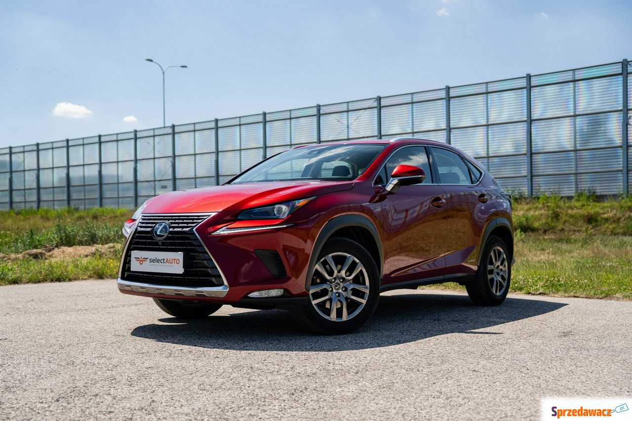Lexus NX 2021
