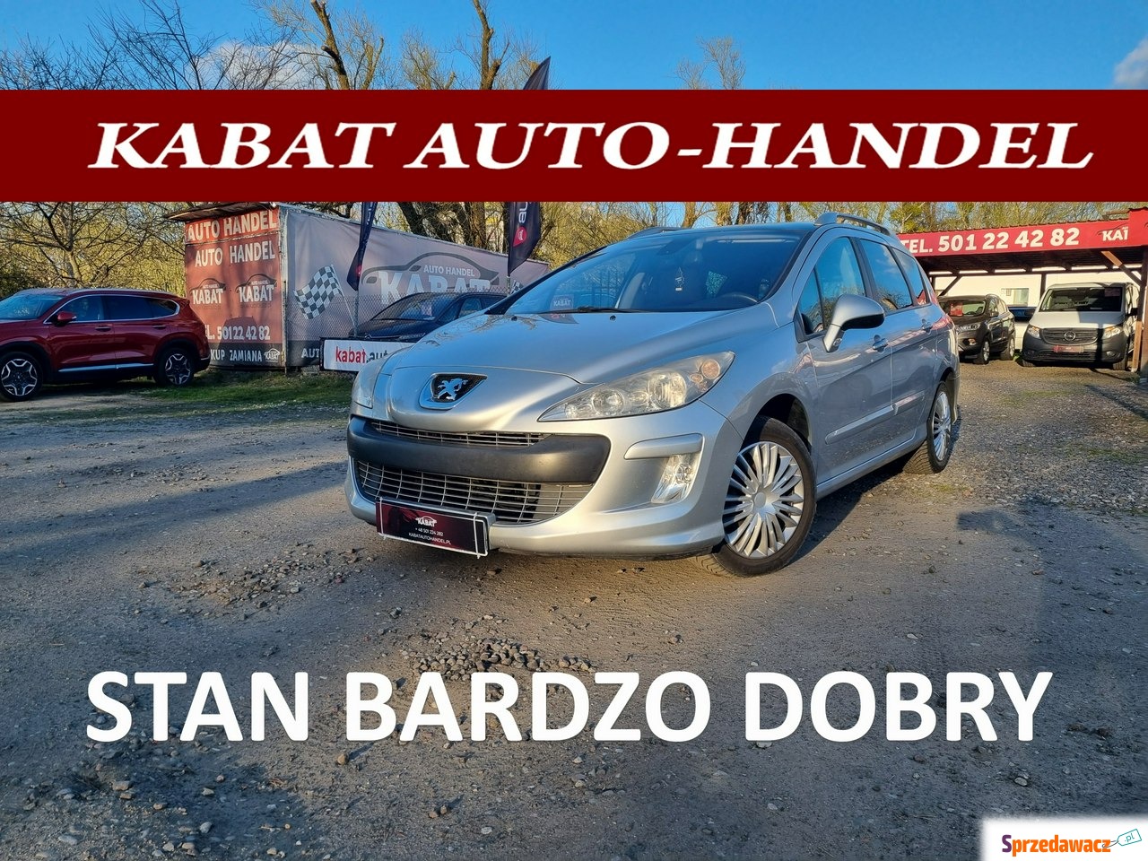 Peugeot 308 2010