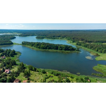Działka budowlana Kurki sprzedam, pow. 1567 m2  (15.7a), uzbrojona - zdjęcie 5