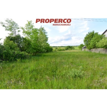 Działka Kucębów sprzedam, pow. 11 800 m2  (1.18ha), uzbrojona - zdjęcie 8