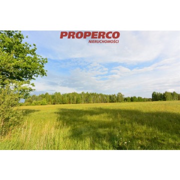 Działka Kucębów sprzedam, pow. 11 800 m2  (1.18ha), uzbrojona - zdjęcie 7
