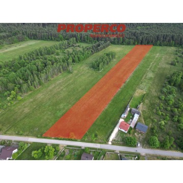 Działka Kucębów sprzedam, pow. 11 800 m2  (1.18ha), uzbrojona - zdjęcie 1