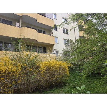 Mieszkanie trzypokojowe Warszawa - Mokotów,   59 m2, parter - Sprzedam - zdjęcie 6