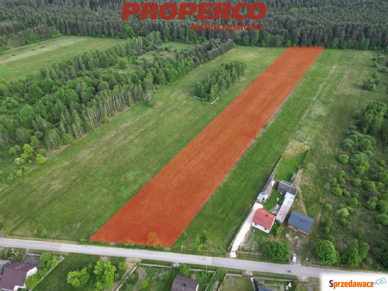 Działka Kucębów sprzedam, pow. 11 800 m2  (1.18ha), uzbrojona