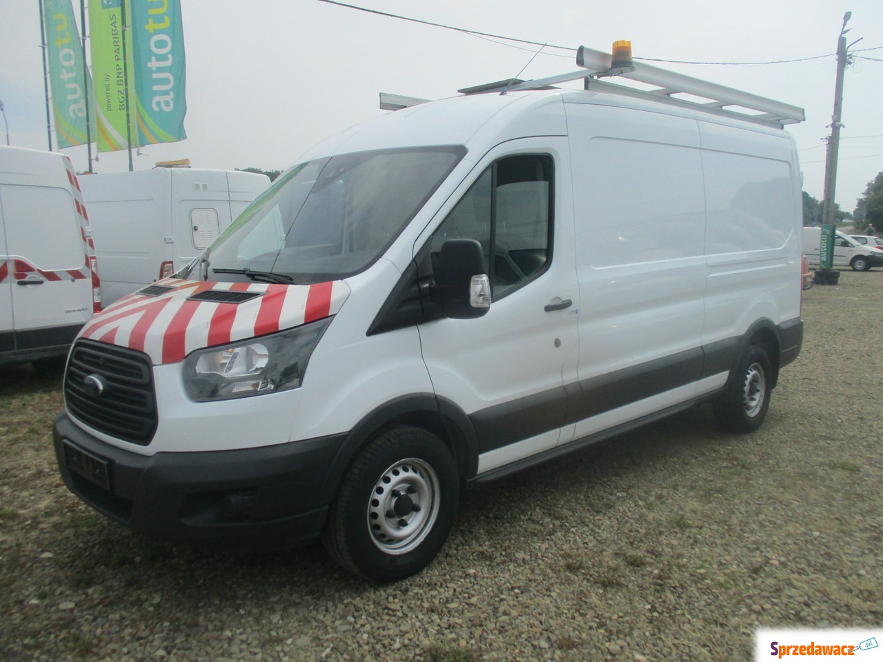 Ford Transit 2019