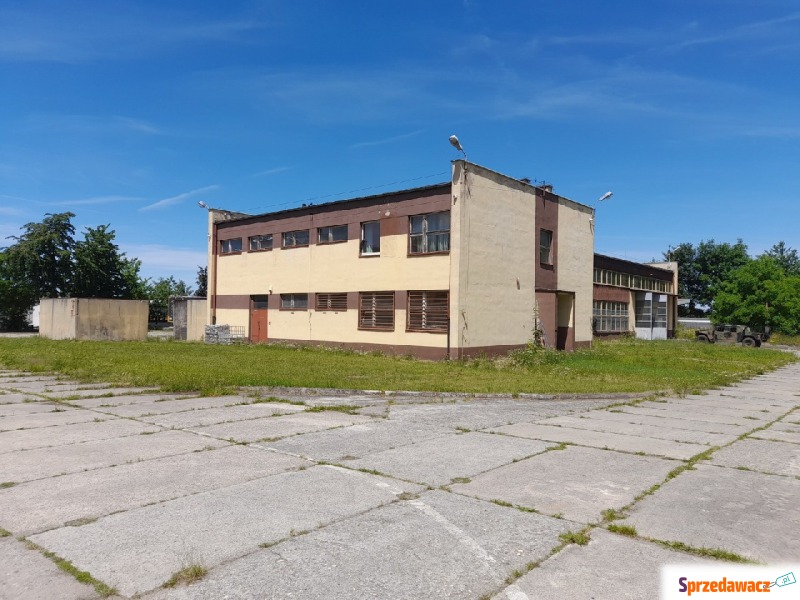 Nieruchomość na sprzedaż - Lokale użytkowe na s... - Głubczyce