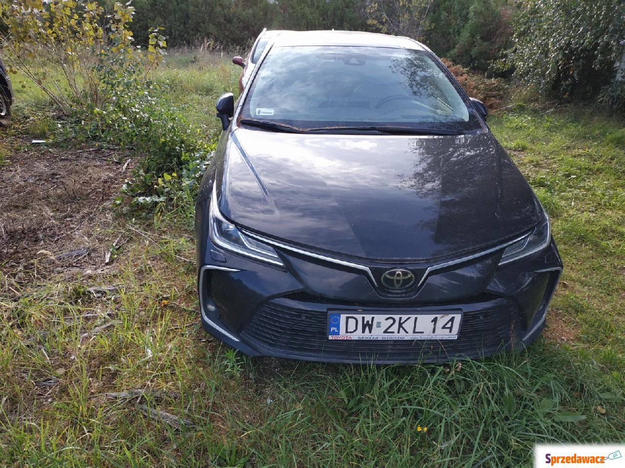 Toyota Corolla 2019