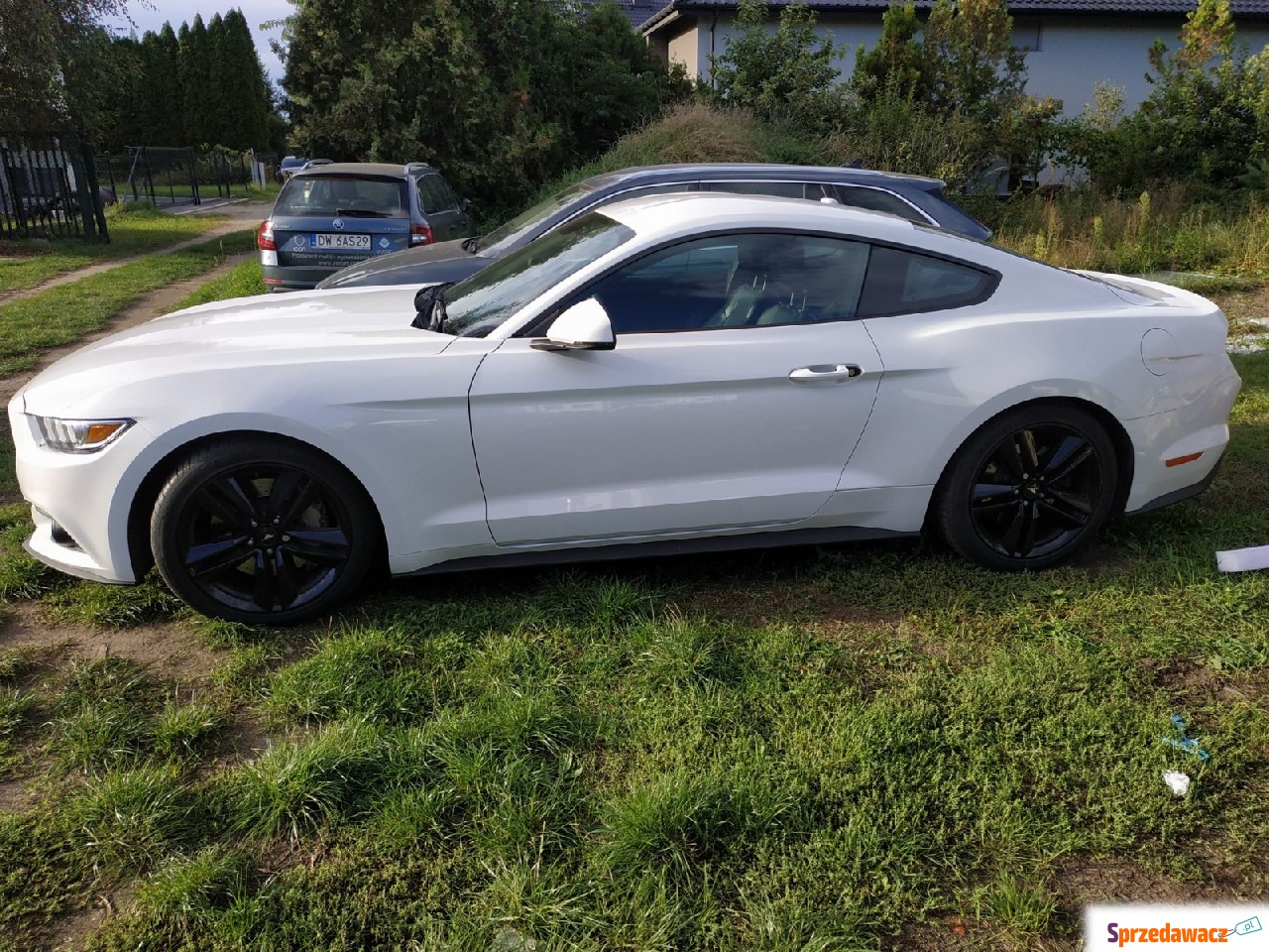 Ford Mustang 2017
