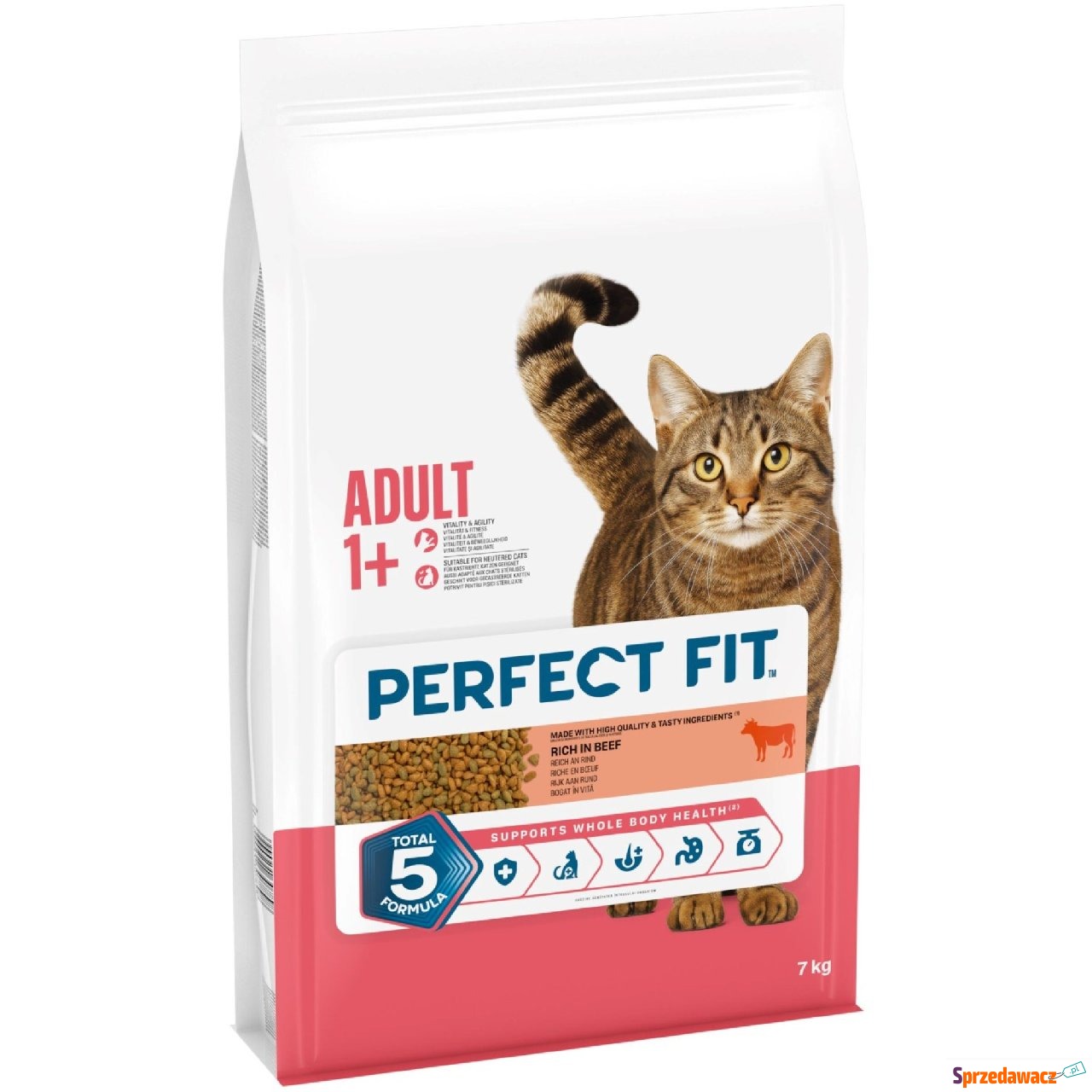 Perfect Fit Adult 1+, z wołowiną...