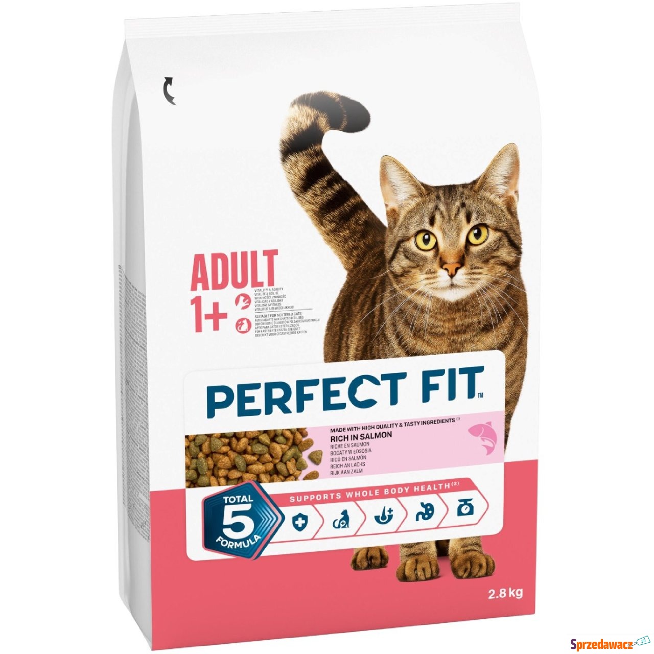 Perfect Fit Adult 1+, z łososiem...