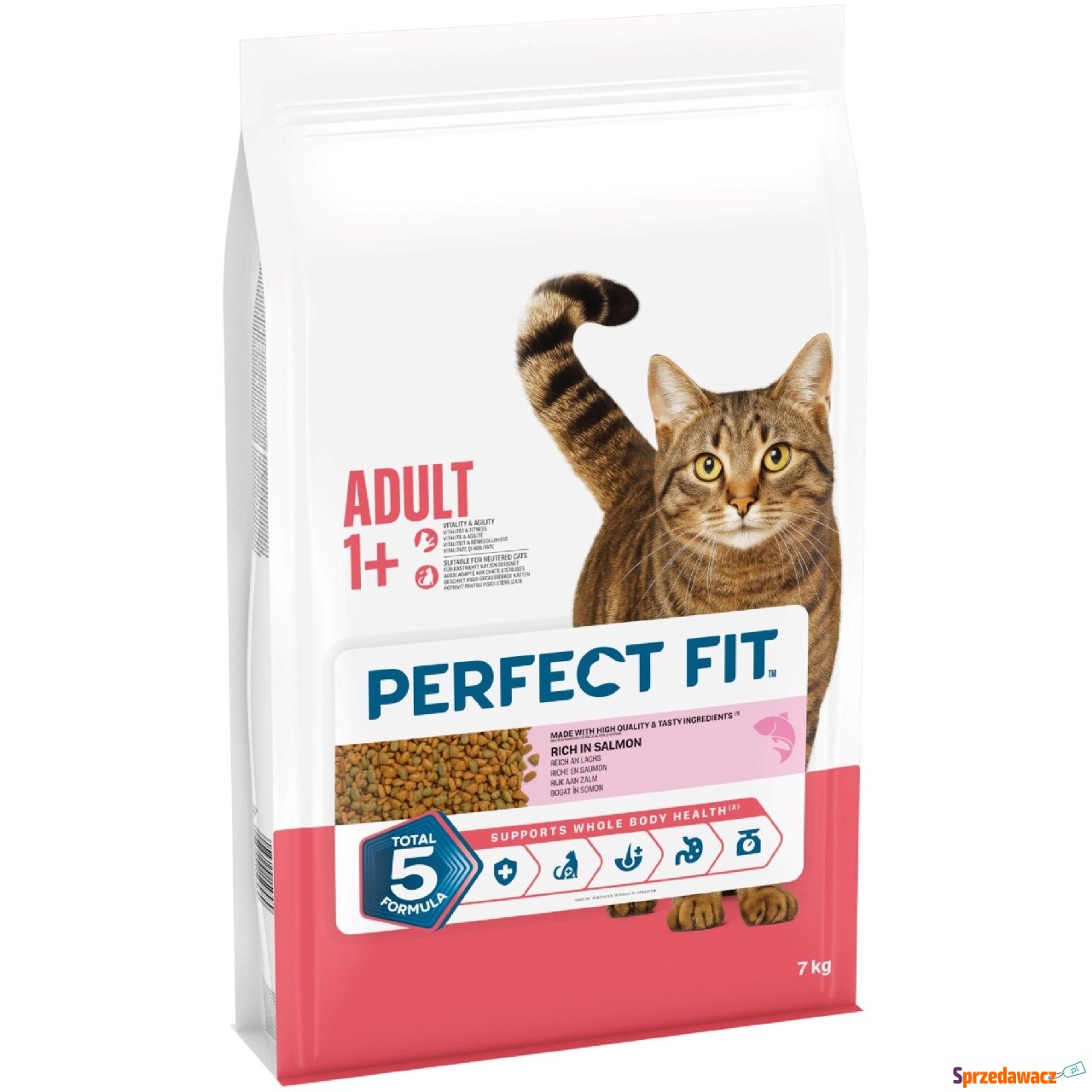 Perfect Fit Adult 1+, z łososiem...