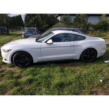Syndyk sprzeda Ford Mustang