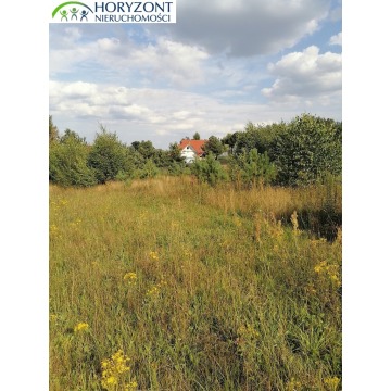 Koleczkowo - działki budowlane - Działki na sprzedaż - Koleczkowo - zdjęcie 3