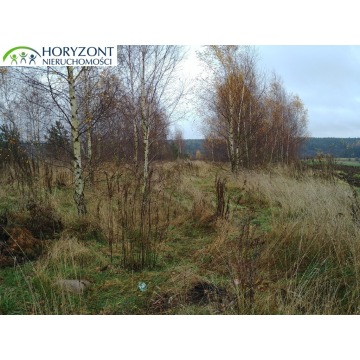 Działka inwestycyjna Żukowo sprzedam, pow. 17 700 m2  (1.77ha) - zdjęcie 4