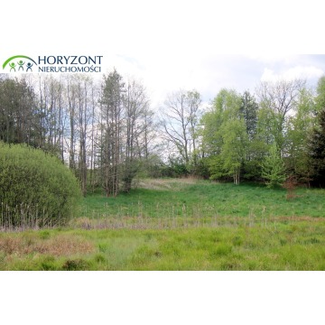 Działka budowlana Sitno sprzedam, pow. 1200 m2  (12a) - zdjęcie 7