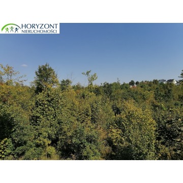 Działka Sulęczyno sprzedam, pow. 6260 m2  (0.63ha) - zdjęcie 2