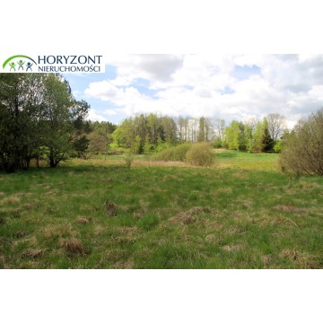 Działka budowlana Sitno sprzedam, pow. 1200 m2  (12a) - zdjęcie 4