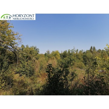 Działka Sulęczyno sprzedam, pow. 6260 m2  (0.63ha) - zdjęcie 4