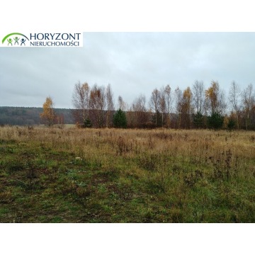 Działka inwestycyjna Żukowo sprzedam, pow. 17 700 m2  (1.77ha) - zdjęcie 2