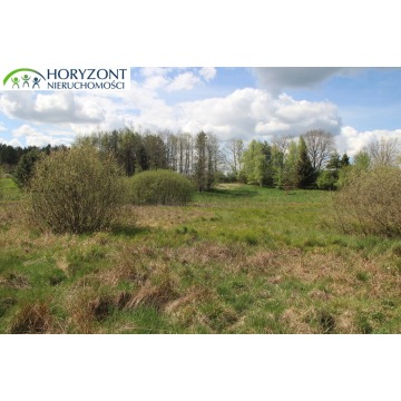 Działka budowlana Sitno sprzedam, pow. 1200 m2  (12a) - zdjęcie 8