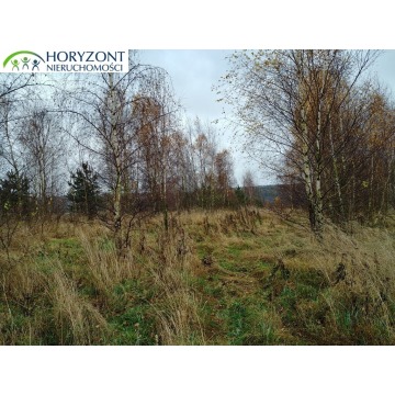 Działka inwestycyjna Żukowo sprzedam, pow. 17 700 m2  (1.77ha) - zdjęcie 3