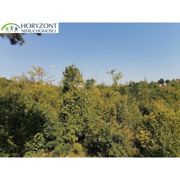 Działka Sulęczyno sprzedam, pow. 6260 m2  (0.63ha) - zdjęcie 3