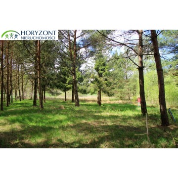 Działka budowlana Sitno sprzedam, pow. 1200 m2  (12a) - zdjęcie 2