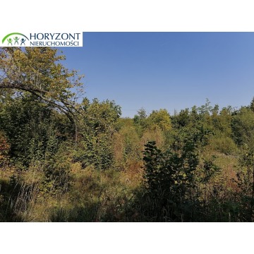 Działka Sulęczyno sprzedam, pow. 6260 m2  (0.63ha) - zdjęcie 6