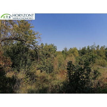 Działka Sulęczyno sprzedam, pow. 6260 m2  (0.63ha) - zdjęcie 5