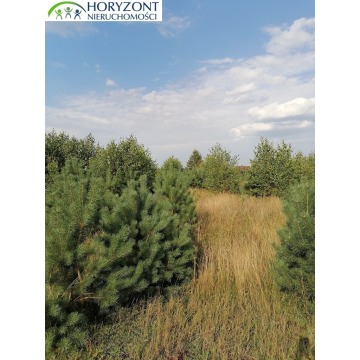 Koleczkowo - działki budowlane - Działki na sprzedaż - Koleczkowo - zdjęcie 2