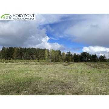 Działka budowlana Kamień sprzedam, pow. 1400 m2  (14a) - zdjęcie 3
