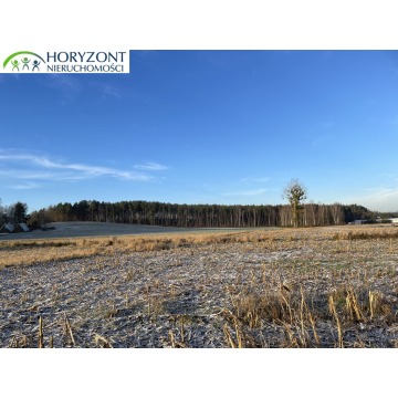 Działka budowlana Bojano sprzedam, pow. 1042 m2  (10.4a) - zdjęcie 3