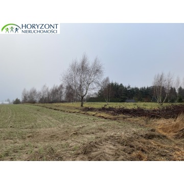 Dobrzewino - kompleks działek