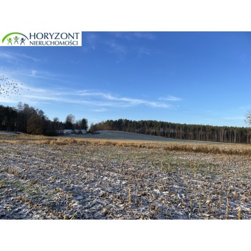 Działka budowlana Bojano sprzedam, pow. 1042 m2  (10.4a) - zdjęcie 5