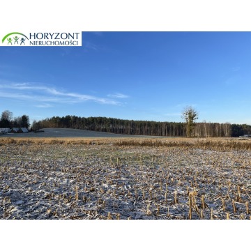 Działka budowlana Bojano sprzedam, pow. 1042 m2  (10.4a) - zdjęcie 7