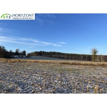 Działka budowlana Bojano sprzedam, pow. 1030 m2  (10.3a) - zdjęcie 6