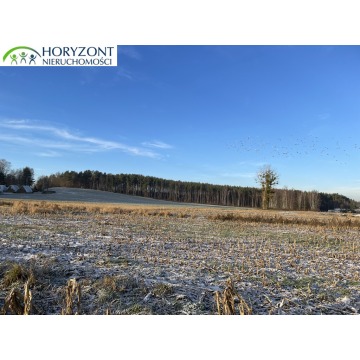 Działka budowlana Bojano sprzedam, pow. 1030 m2  (10.3a) - zdjęcie 4