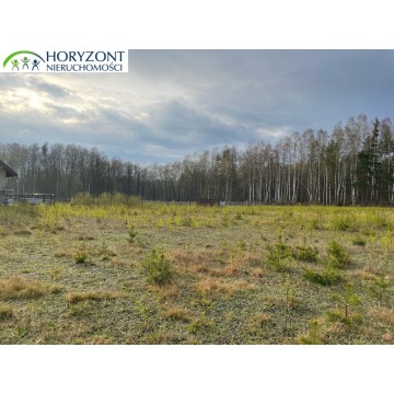 Działka budowlana Kamień sprzedam, pow. 1262 m2  (12.6a) - zdjęcie 5